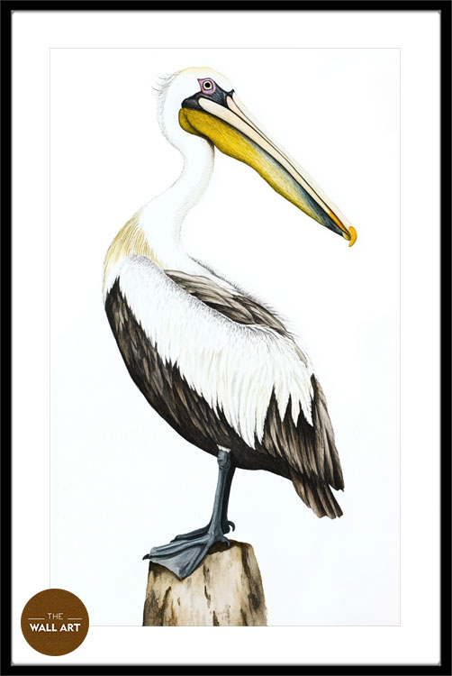 images/products/yellow_beack_pelican/yellow_beack pelican_BLACK_PWB.jpg